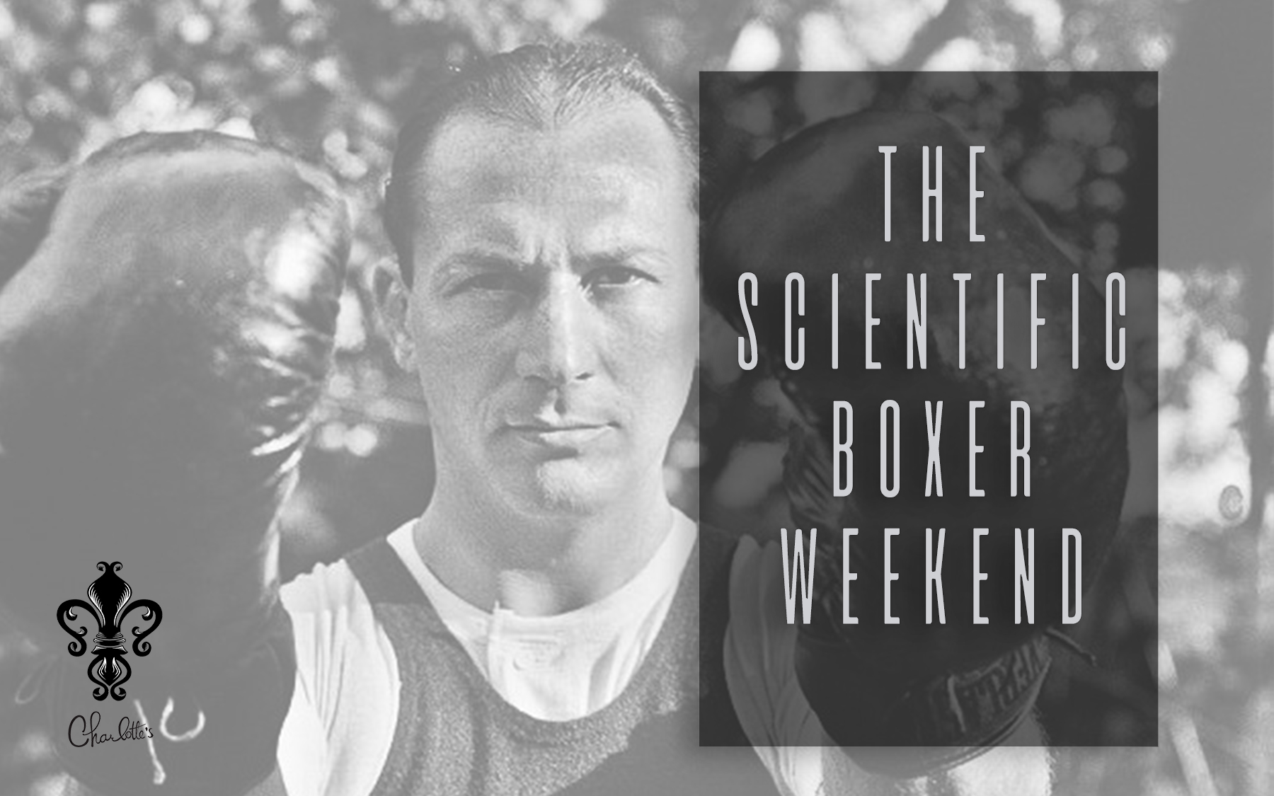 The Scientific Boxer Weekend